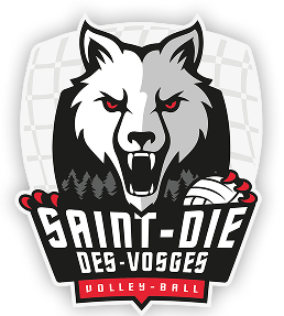 Saint-dié Volley Ball